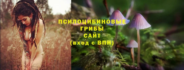 мескалин Алексин