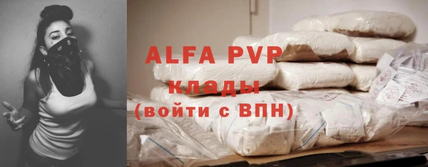 СК Алзамай