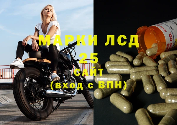 СК Алзамай